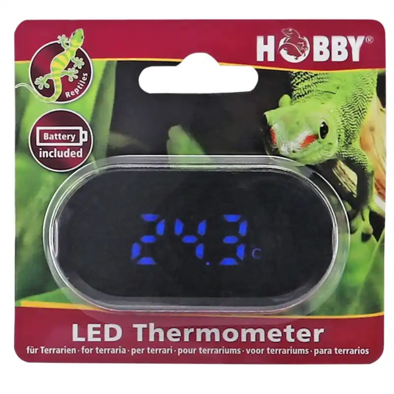 Wochenendangebot Hobby LED Thermometer für Terrarien